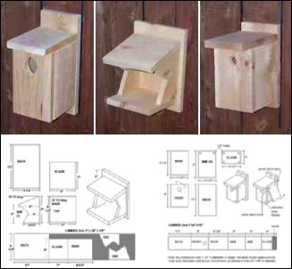 Easy Build House Plans on Easy To Follow Step By Step Plans Designed For These 6 Species