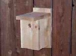 3 Birdhouse plans in one!